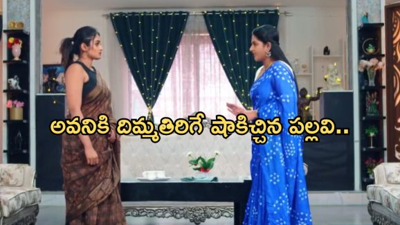 Intinti Ramayanam Today Episode : పల్లవికి తెలిసిపోయిన అక్షయ్ రహస్యం.. అవని దిమ్మతిరిగే షాక్..