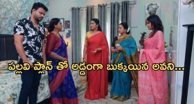 Intinti Ramayanam Today Episode : అవనిని అడ్డంగా ఇరికించిన పల్లవి.. పార్వతికి క్లాస్ పీకిన భానుమతి..
