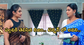 Intinti Ramayanam Today Episode : ప్లాన్ మార్చుకున్న పల్లవి.. అవనికి అసలు నిజం తెలిసిపోతుందా..?