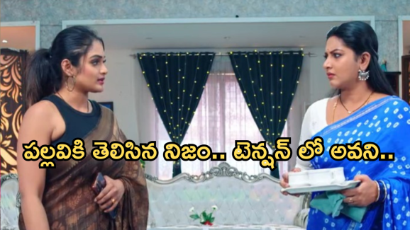 Intinti Ramayanam Today Episode : ప్లాన్ మార్చుకున్న పల్లవి.. అవనికి అసలు నిజం తెలిసిపోతుందా..?