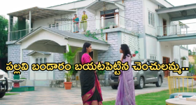 Intinti Ramayanam Today Episode : పల్లవి ఆట కట్.. చెంచలమ్మ ఎంట్రీతో భానుమతి షాక్..