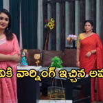 Intinti Ramayanam Today Episode : పల్లవికి అవని సీరియస్ వార్నింగ్.. అక్షయ్ బర్త్ డే సెలెబ్రేషన్స్..