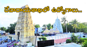 Endowments Department jobs: ఏపీ దేవాదాయ శాఖలో ఏఈఈ, టెక్నికల్ అసిస్టెంట్ ఉద్యోగాలు