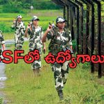 bsf constable recruitment 2024: కానిస్టేబుల్ జాబ్స్‌కు రేపే లాస్ట్ డేట్.. వెంటనే అప్లై చేసుకోండి..!