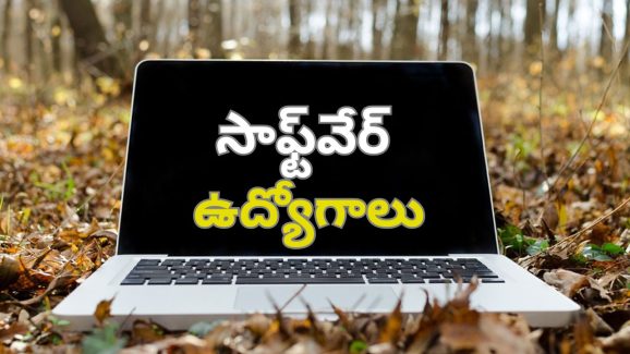 Tech Mahindra Jobs: టెక్ మహీంద్రాలో సాఫ్ట్ వేర్ ఉద్యోగాలు.. త్వరపడండి..