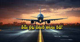 Plane Cabin Lights: ఫ్లైట్ టేకాఫ్, ల్యాండింగ్ టైంలో క్యాబిన్ లైట్లు డిమ్ అవుతాయి.. ఎందుకో తెలుసా?