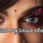 Laila : వాలెంటైన్స్ డేను టార్గెట్ చేసిన విశ్వక్ సేన్