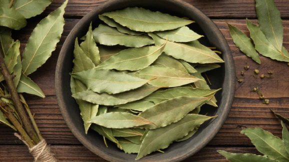 Bay Leaf: బిర్యానీ ఆకులతో ఇన్ని ప్రయోజనాలా ?