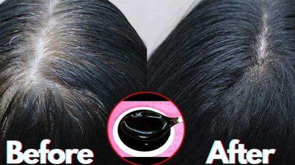 Herbal Hair Colour: హెన్నా అవసరమే లేదు.. ఈ హెర్బల్ హెయిర్ కలర్‌తో క్షణాల్లోనే తెల్లజుట్టు మాయం