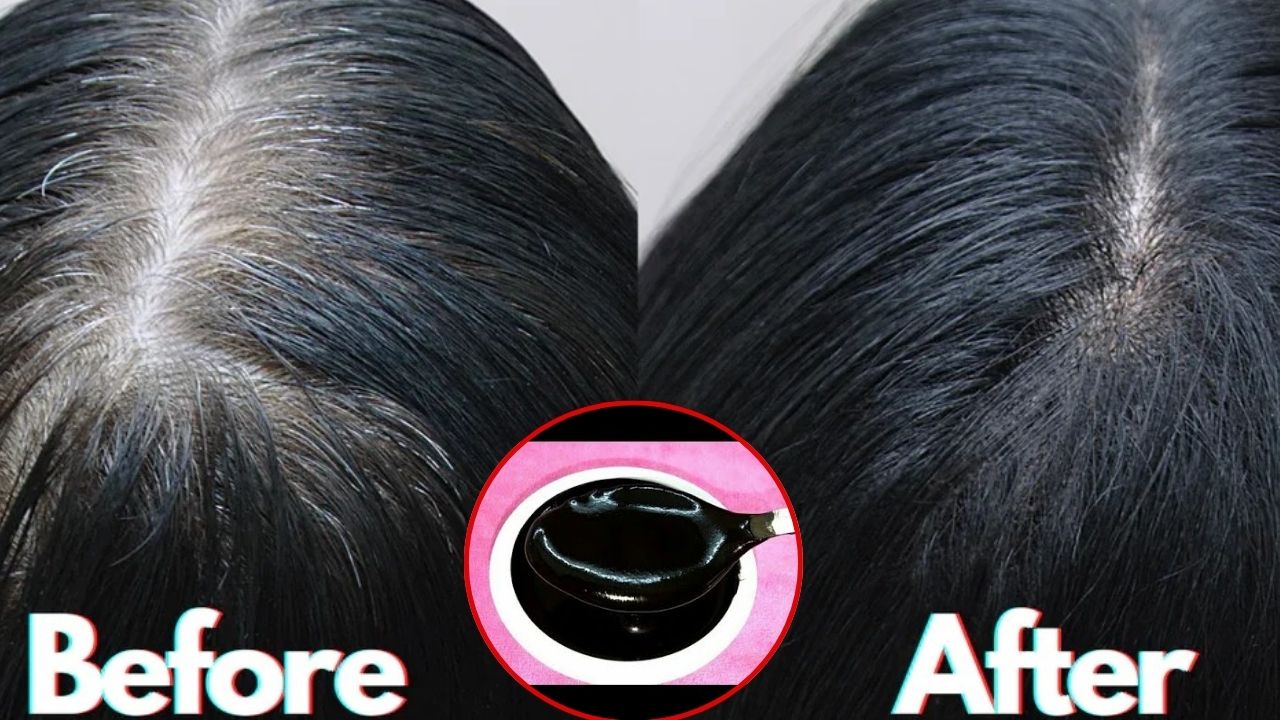 Herbal Hair Colour: హెన్నా అవసరమే లేదు.. ఈ హెర్బల్ హెయిర్ కలర్‌తో క్షణాల్లోనే తెల్లజుట్టు మాయం