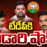 Viskha Dairy: అడారి కొత్త దారి.. బీజేపీలో చేరింది అందుకేనా, ఇప్పుడు టీడీపీ ప్లాన్ ఏంటో!