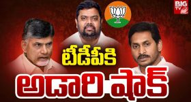 Viskha Dairy: అడారి కొత్త దారి.. బీజేపీలో చేరింది అందుకేనా, ఇప్పుడు టీడీపీ ప్లాన్ ఏంటో!