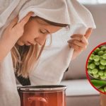Amla Water Steam: ఇలా ఆవిరి పడితే.. మీ అందం రెట్టింపు