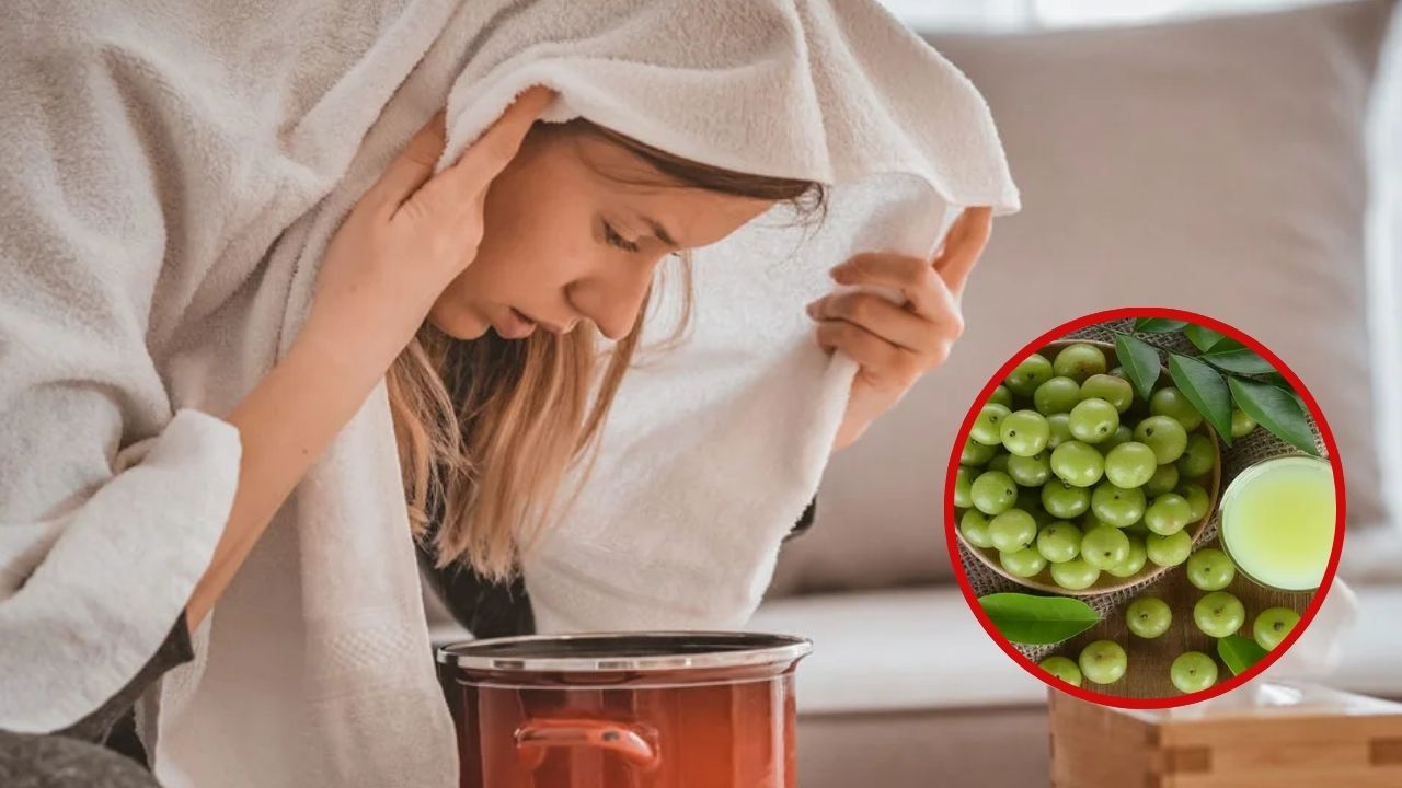 Amla Water Steam: ఇలా ఆవిరి పడితే.. మీ అందం రెట్టింపు