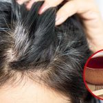 White Hair: వీటిని వాడితే చాలు.. క్షణాల్లోనే తెల్లజుట్టు నల్లగా మారిపోతుంది