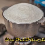 Milk Boiling: పాలు మరిగించేటప్పుడు ఇలా చేస్తే.. అస్సలు పొంగిపోవు