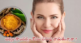 Naga Chaitanya - Shobhita: పిల్లల గురించే ధ్యాసంతా.. మరి సమంతతో ఏమైంది..?