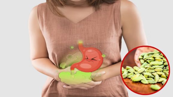 Cardamom: ఏలకులు తింటే.. ఈ వ్యాధులు రమ్మన్నా రావు !