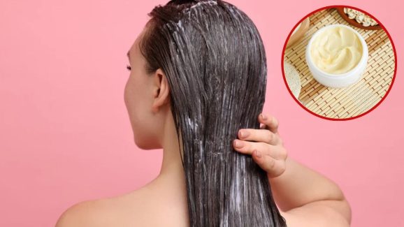 Winter Hair Mask : చలికాలంలో.. తప్పకుండా వాడాల్సిన హెయిర్ మాస్క్‌లు