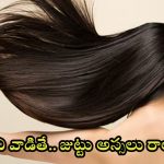 Long Hair Tips: ఇవి వాడితే.. మీ జుట్టు అస్సలు రాలదు తెలుసా ?