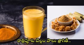France PM Michel Barnier: ఫ్రాన్స్‌లో 3 నెలలకే కూలిపోయిన ప్రభుత్వం.. ప్రధాన మంత్రిగా బార్నియర్ తొలగింపు!