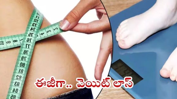 Weight Loss Tips: బెల్లీ ఫ్యాట్ తగ్గాలా ? అయితే ఈ టిప్స్ ఫాలో అవ్వండి