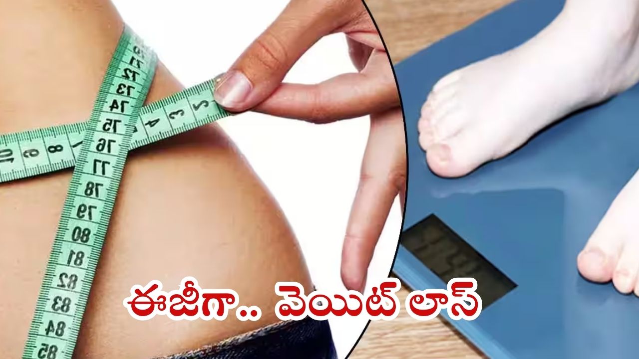 Weight Loss Tips: బెల్లీ ఫ్యాట్ తగ్గాలా ? అయితే ఈ టిప్స్ ఫాలో అవ్వండి