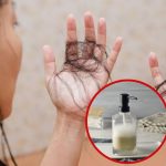 Shampoo: జుట్టుకు షాంపూ ఎక్కువగా వాడుతున్నారా ? ఎంత ప్రమాదమో తెలుసుకోండి