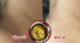 Pushpa 2 Day 1 Collections : రికార్డుల మోత మోగిస్తున్న పుష్ప రాజ్... నీయవ్వ అస్సలు తగ్గేదేలే..