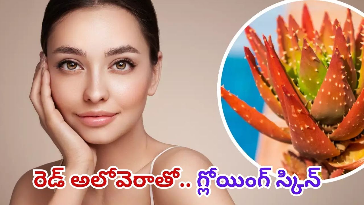 Red Aloe Vera: చందమామ లాంటి ముఖం కోసం.. దీన్ని ఒక్క సారి వాడండి