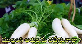 Radish Leaves: ముల్లంగి ఆకులతో ఇన్ని లాభాలా.. తెలిస్తే షాక్ అవడం పక్కా