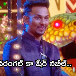 Bigg Boss Nabeel : వరంగల్ కా షేర్.. నబీల్ పై బిగ్ బాస్ ప్రశంసలు..