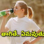 Drinking Water: నిలబడి నీళ్లు తాగితే ప్రమాదమా? అలా తాగకూడదని ఎందుకు చెబుతారు?