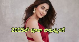 Kanchana 4 : క్రేజీ హారర్ మూవీలో ఛాన్స్ కొట్టేసిన పూజా... షూటింగ్ ఎప్పుడంటే?