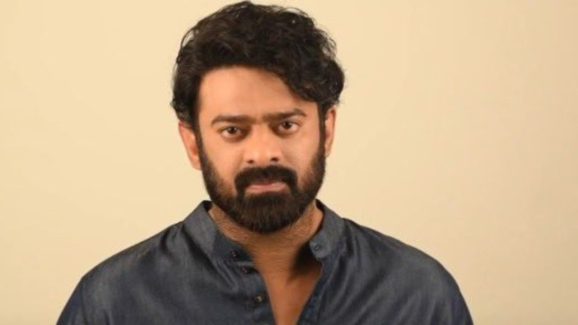 Prabhas: అవి అవసరమా డార్లింగ్స్.. ప్రభాస్ వీడియో వైరల్