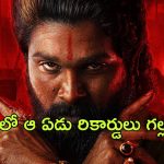 Pushpa 2 : హిందీలో ‘పుష్ప 2’ ర్యాంపేజ్… ఆ 7 రికార్డులను తిరగరాసిన పుష్ప రాజ్