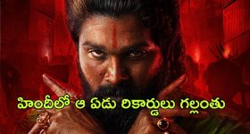 Pushpa 2 : హిందీలో 'పుష్ప 2' ర్యాంపేజ్... ఆ 7 రికార్డులను తిరగరాసిన పుష్ప రాజ్