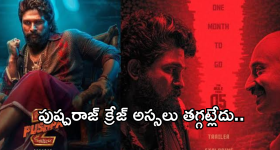 Pushpa 2 Day 11 collection : పుష్ప రాజ్ దిగితే రికార్డులు బద్దలే.. 1500 కోట్లు క్రాస్..