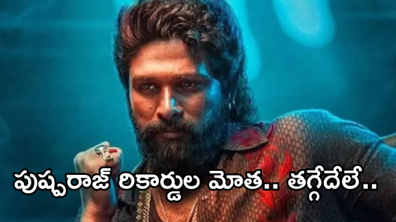 Pushpa2 Collections : పుష్ప రాజ్ దెబ్బకు రికార్డులు బద్దలే.. 2 వేల కోట్లు సాధ్యమా..?