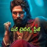 Pushpa 2 : సినిమాలో అల్లు అర్జునే మైనస్… సెకండ్ పార్ట్ లో మరీ కామెడీగా?