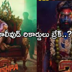 Pushpa2 Collections : దంగల్ కి పోటీగా పుష్ప రాజ్..   ఎక్కడా తగ్గేదేలే.. ఎన్ని కోట్లంటే..?