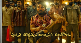 Pushpa 2 Day 5 collection : బాక్సాఫీస్ ను షేక్ చేస్తున్న పుష్ప రాజ్.. ఎన్ని కోట్లంటే?