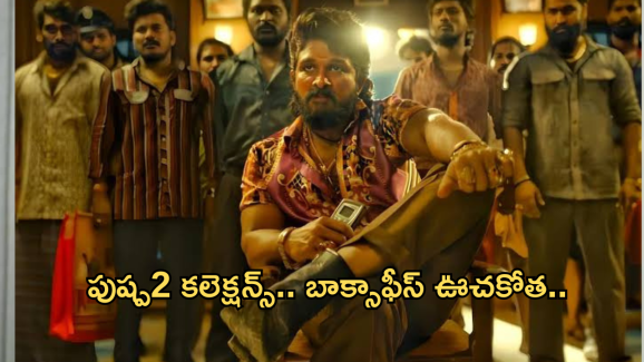 Pushpa 2 Day 5 collection : బాక్సాఫీస్ ను షేక్ చేస్తున్న పుష్ప రాజ్.. ఎన్ని కోట్లంటే?