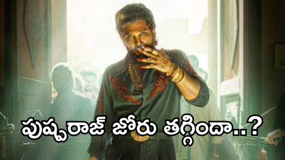 Pushpa2 Collections : పుష్ప 2 జోరు తగ్గిందా… కలెక్షన్స్ ఏంటి ఇలా పడిపోయాయి..
