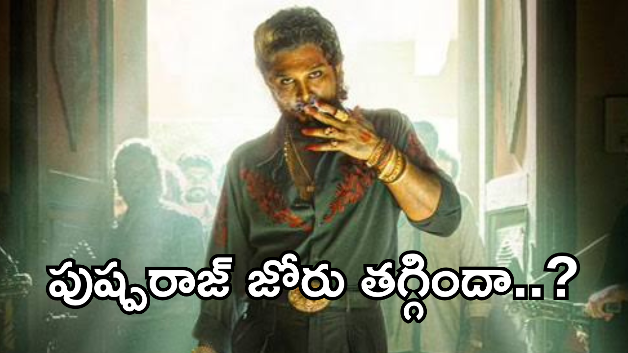 Pushpa2 Collections : పుష్ప 2 జోరు తగ్గిందా… కలెక్షన్స్ ఏంటి ఇలా పడిపోయాయి..