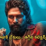 Pushpa 2 Collections : పుష్ప రాజుకి బ్రేకులు పడ్డాయా… ఒక్కసారిగా పడిపోయిన కలెక్షన్స్…