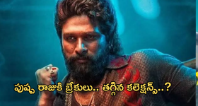 Pushpa 2 Collections : పుష్ప రాజుకి బ్రేకులు పడ్డాయా... ఒక్కసారిగా పడిపోయిన కలెక్షన్స్...