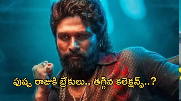 Pushpa 2 Collections : పుష్ప రాజుకి బ్రేకులు పడ్డాయా… ఒక్కసారిగా పడిపోయిన కలెక్షన్స్…