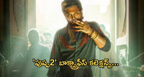 Pushpa2 Day 4 Collections : 1000 కోట్లకు చేరువలో పుష్ప రాజ్.. ఇది కదా ఫ్యాన్స్ కోరుకునేది..