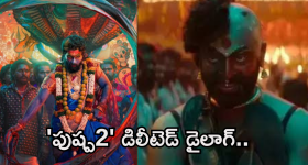 Pushpa2 : 'పుష్ప 2' డిలీటెడ్ డైలాగ్.. ఇది ఉండింటే థియేటర్లు బద్దలయ్యేవే..